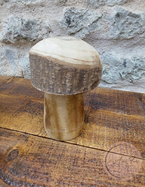 Champignons Bois Brut