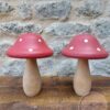 Champignon Bois Rouge