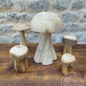 Champignons Bois Brut