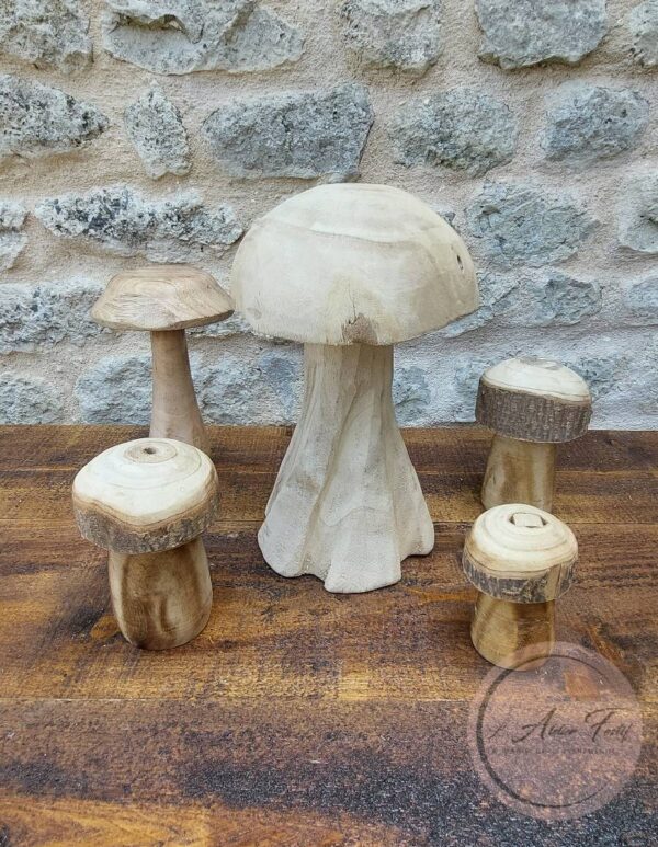 Champignons Bois Brut