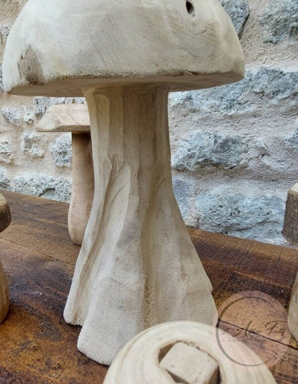 Champignons Bois Brut