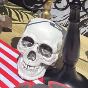 Crâne Squelette Humain