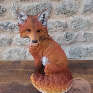Location-Renard-Resine.jpg Renard Forêt