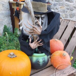 Location-sorciere-chaudron-anime.jpg Sorcière animée avec son chaudron
