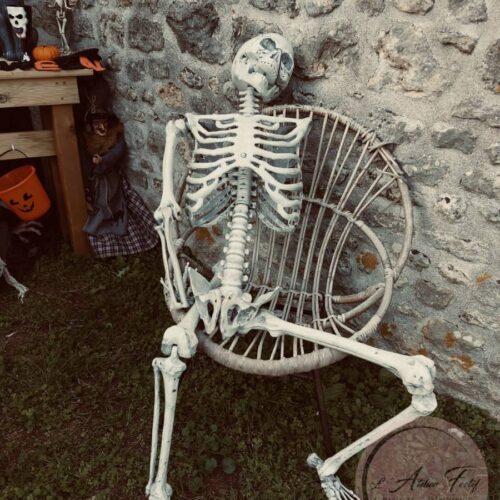 Squelette Humain de Décoration en Plastique Rigide