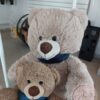 Peluche Nounours