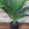 Plantes-Vertes-Artificielles.jpg Plantes vertes artificielles