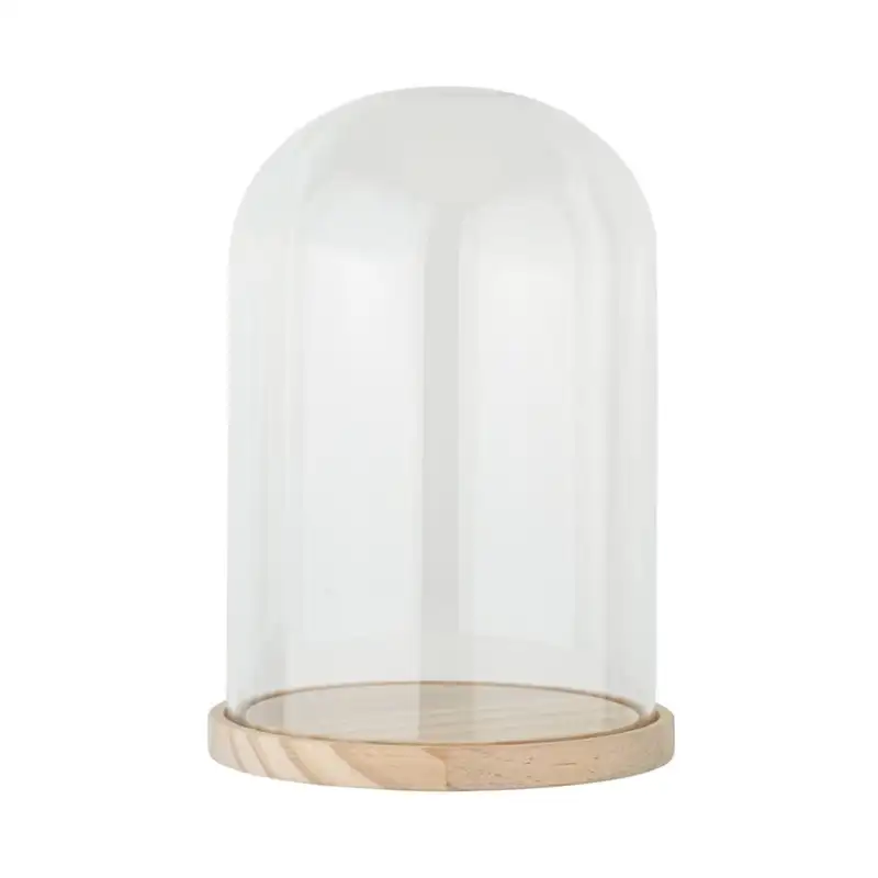 Cloche En Verre Centrakor